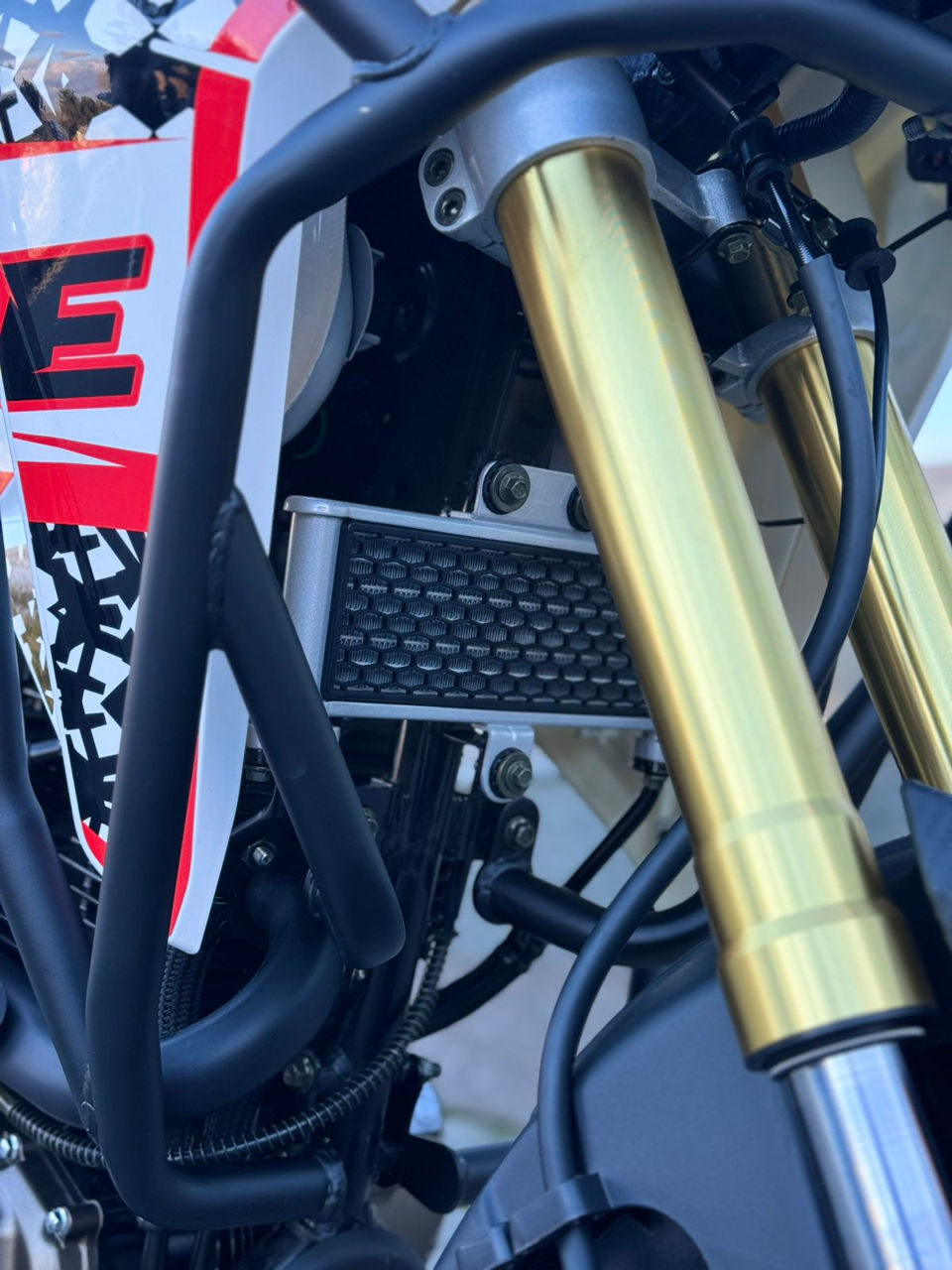 Forte-300-cc-gs (10)