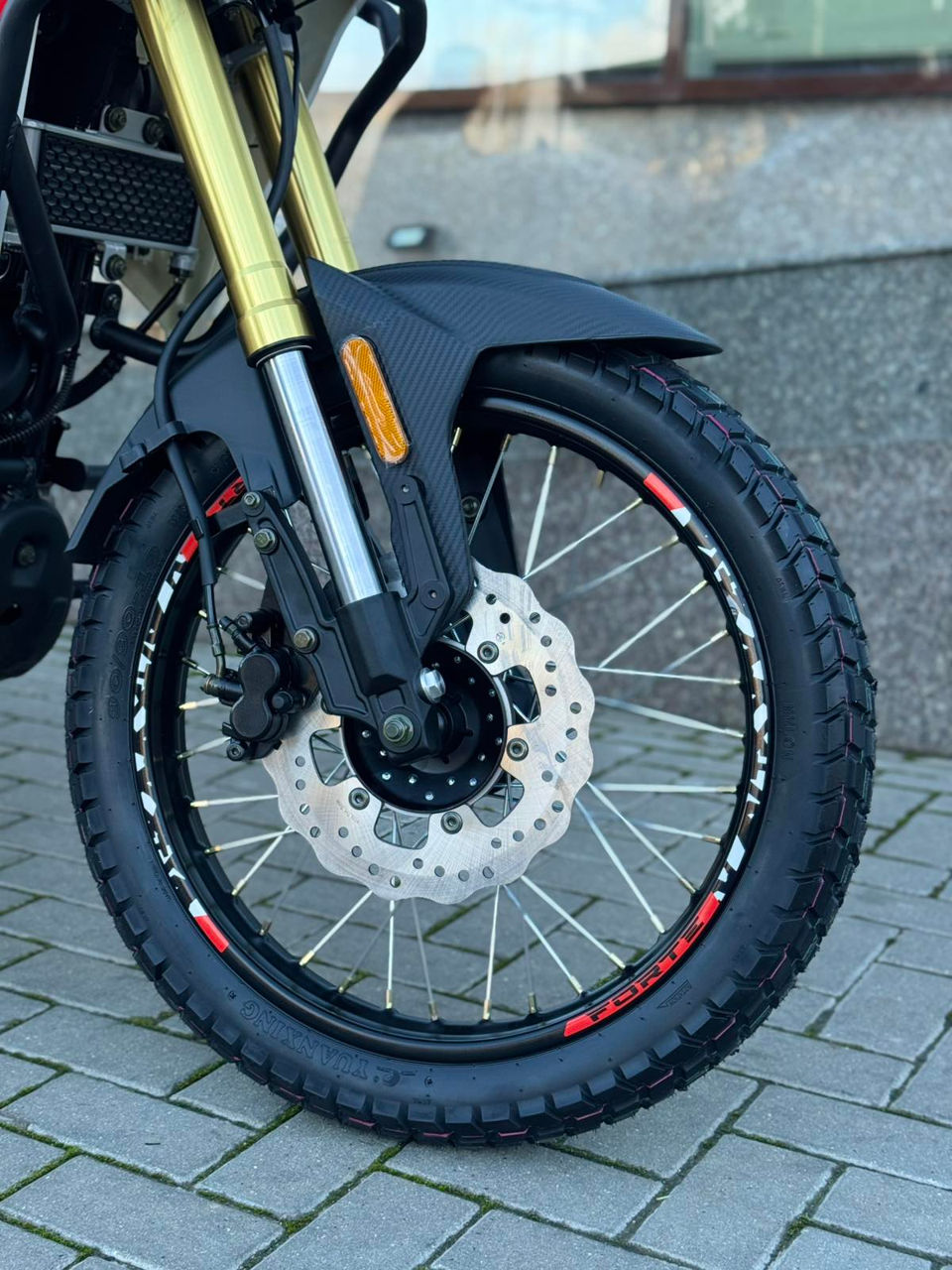 Forte-300-cc-gs (11)