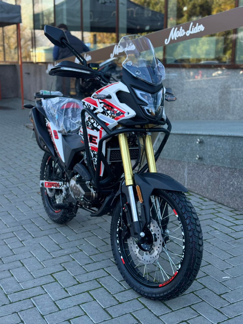 Forte-300-cc-gs (13)