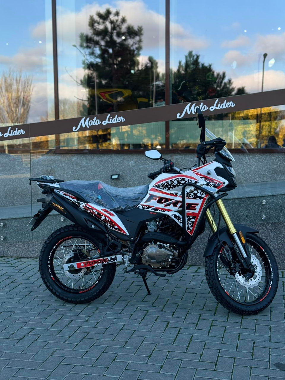 Forte-300-cc-gs (14)